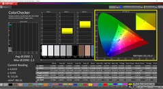 CalMAN ColorChecker (profil: sRGB, hedef renk uzayı: sRGB)