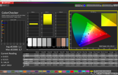 CalMAN ColorChecker ile kalibre edilmiş