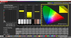 CalMAN ColorChecker (profil: P3, hedef renk uzayı: P3)