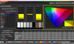 Kalibrasyondan önce Calman ColorChecker