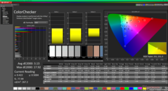 Kalibrasyondan sonra ColorChecker