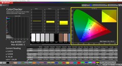 CalMAN ColorChecker (profil: Internet, hedef renk uzayı: sRGB)