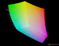 vs. Adobe RGB: %92,1 kapsama alanı