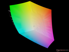 vs. Adobe RGB - %96,5 kapsama alanı