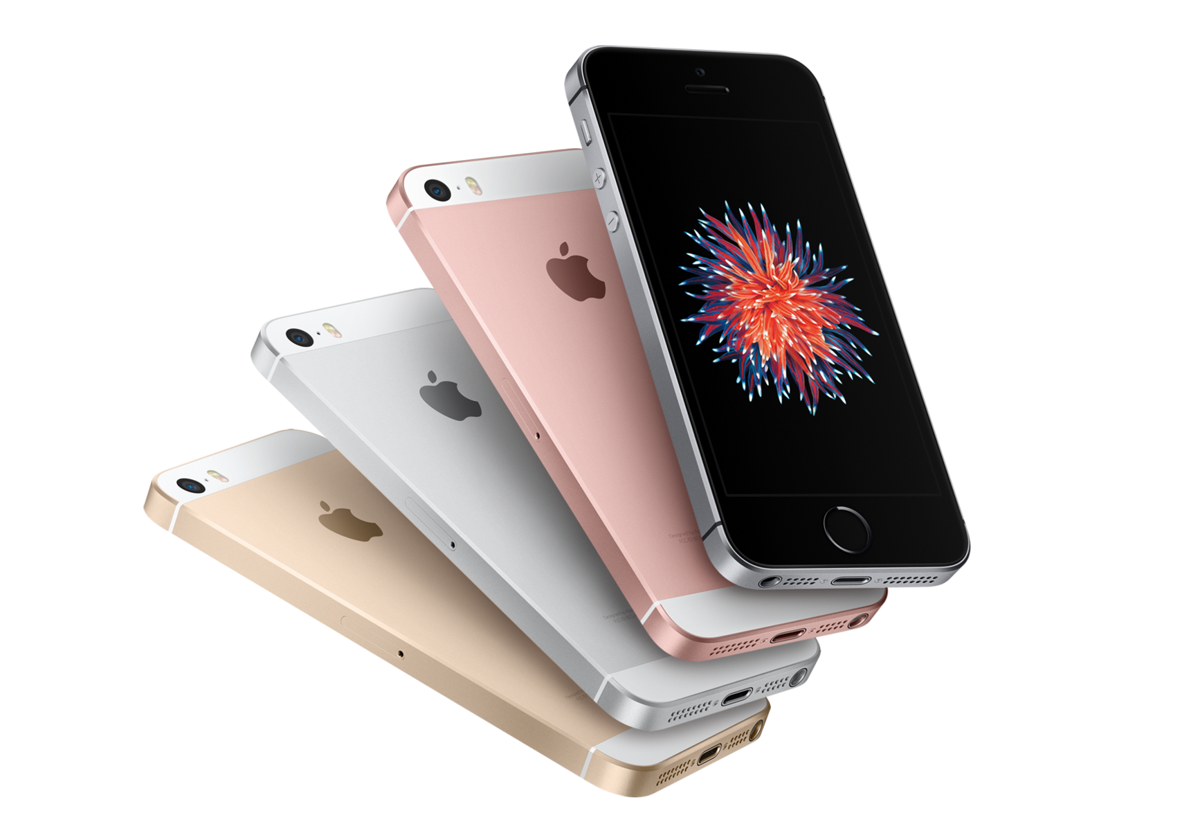iPhone 8、iPhone 6s、iPhone SE、AirPods セット Apple iPhone SE - Notebookcheck-tr.com