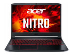 Acer Nitro 5 AN515-44-R55M